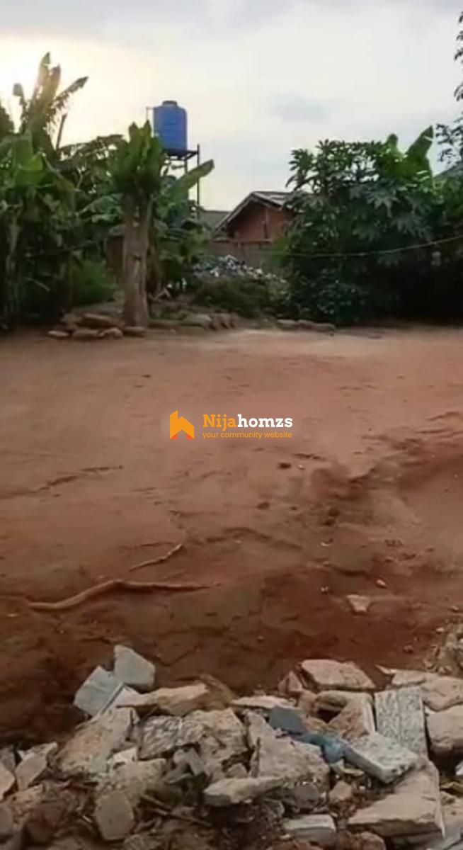 Property view 1