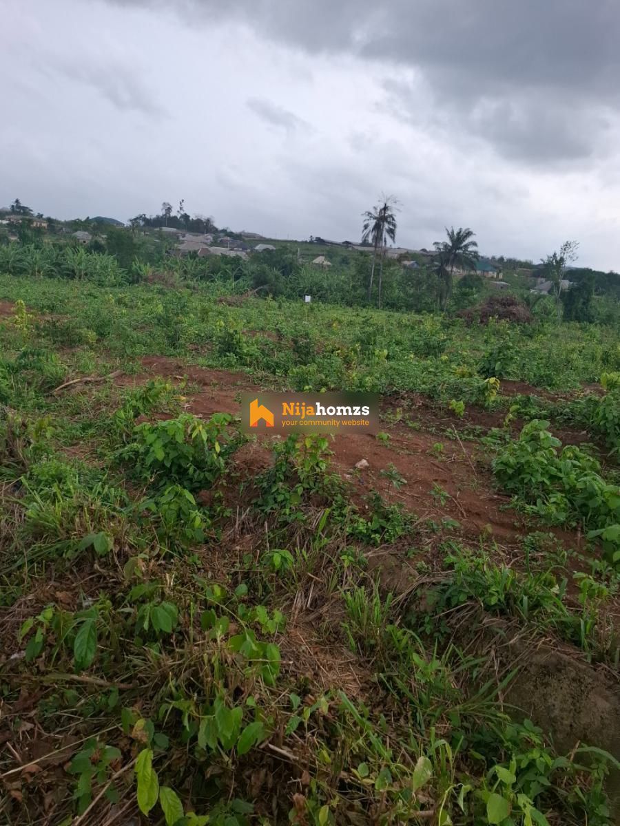 Property view 1