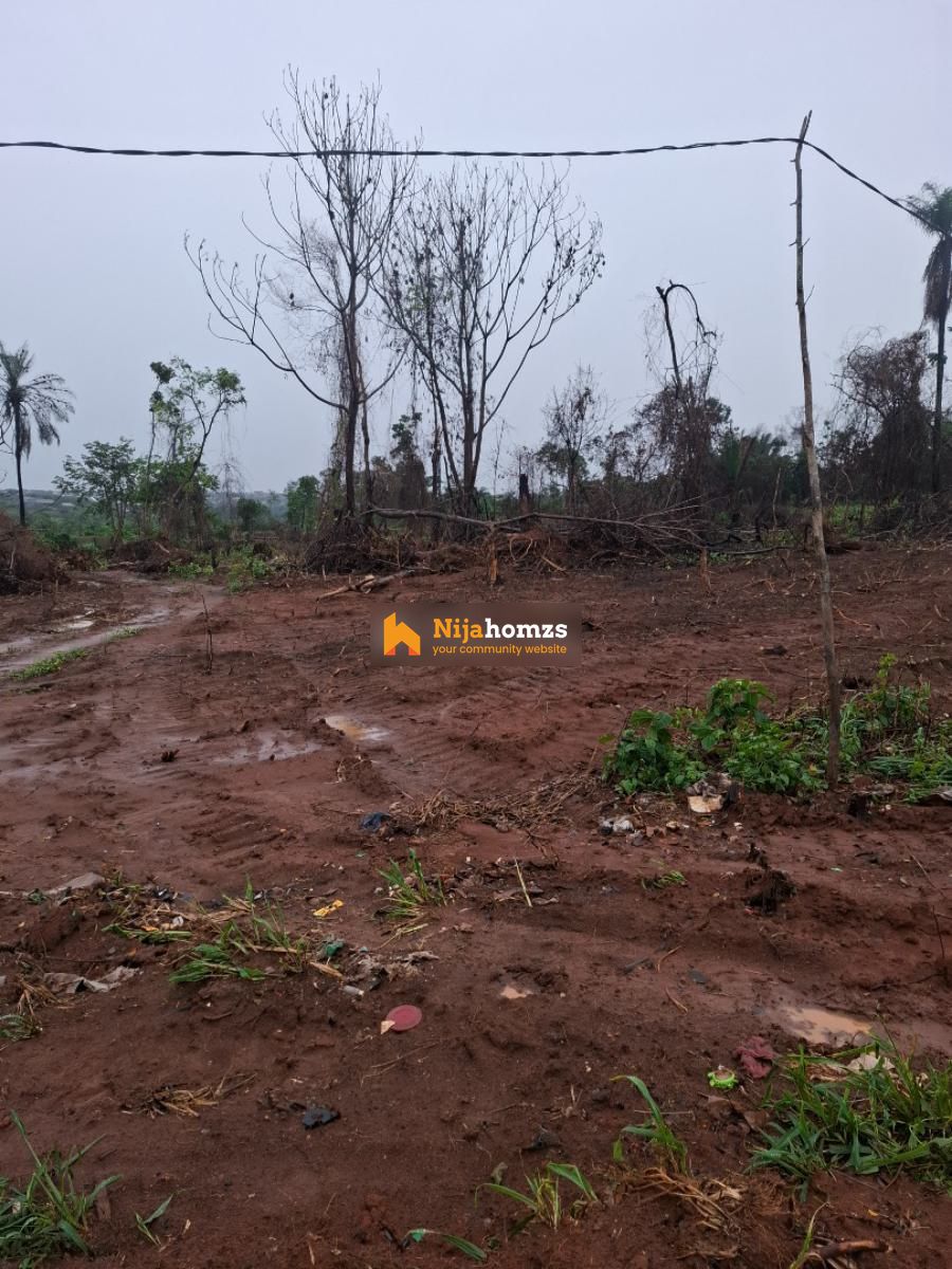 Property view 1