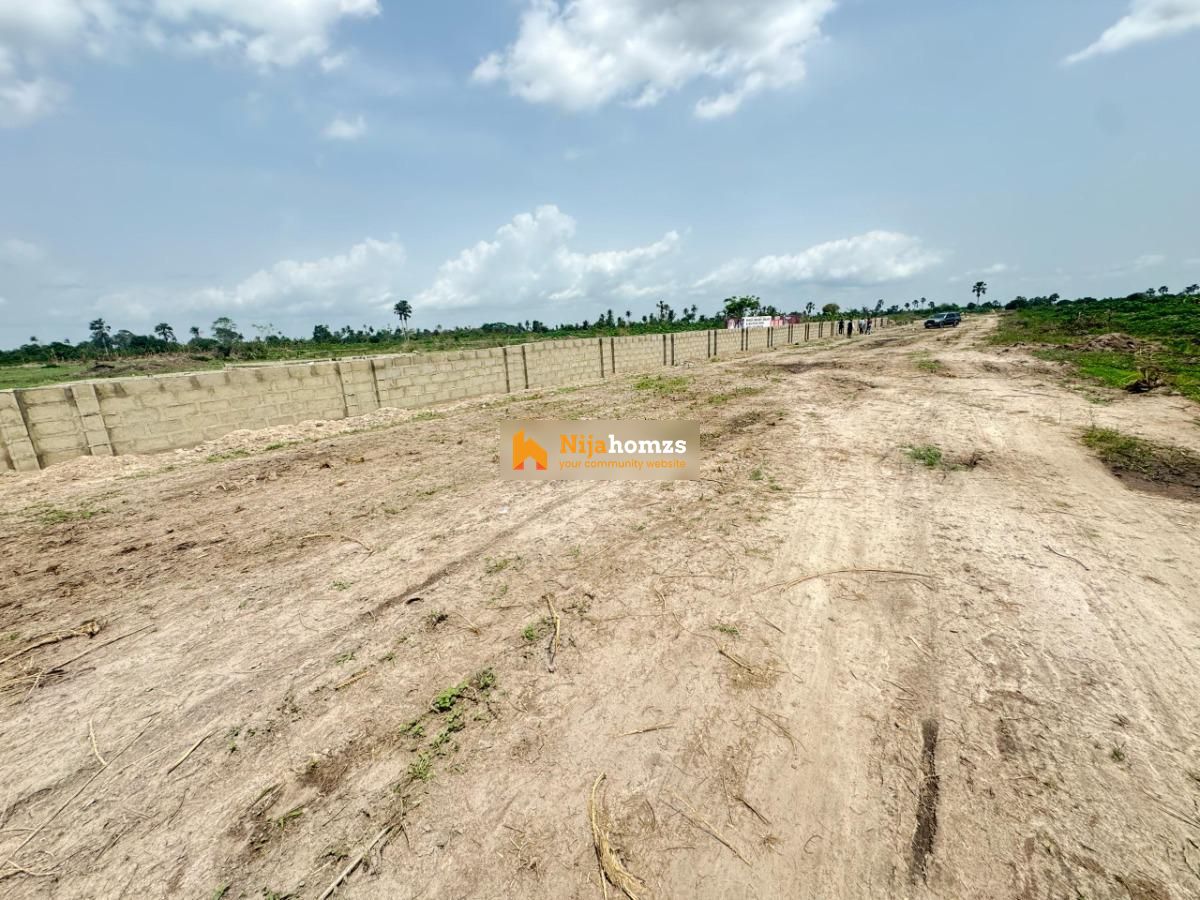 Property view 1