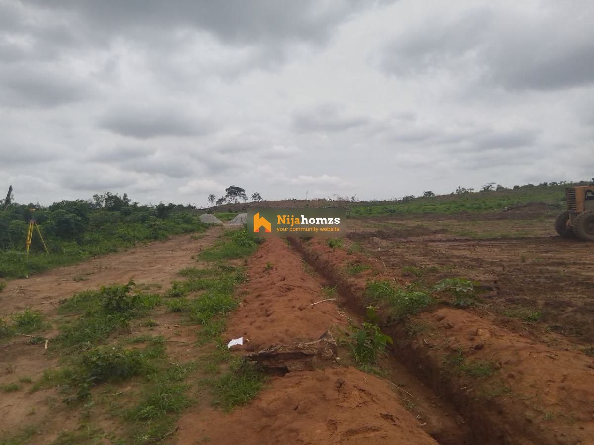 Property view 1