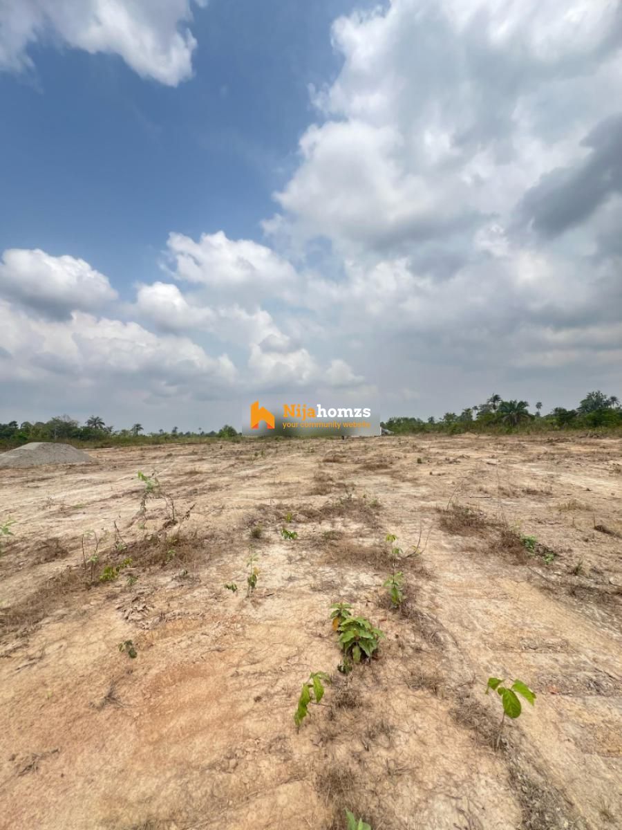 Property view 1
