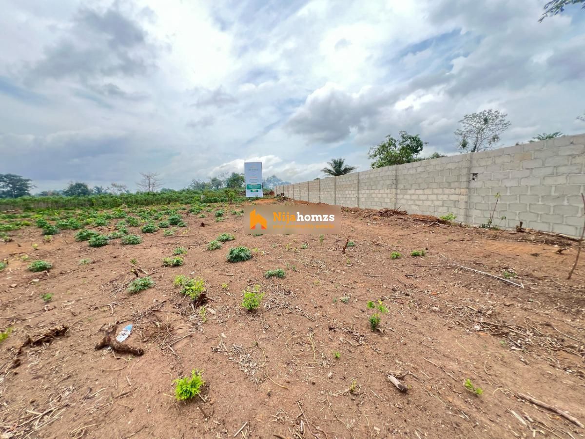 Property view 1