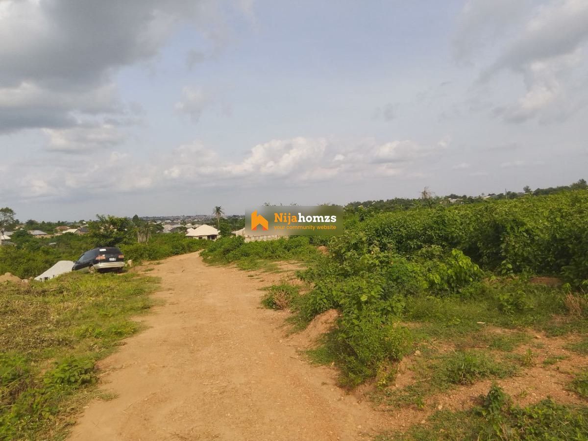 Property view 1