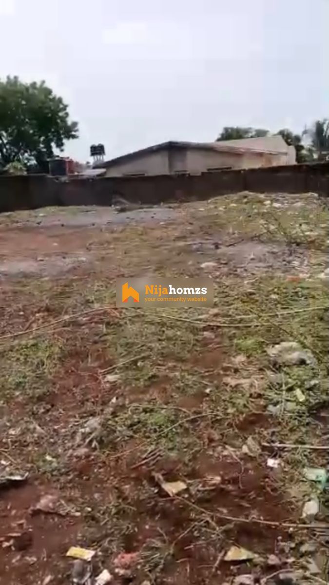 Property view 1