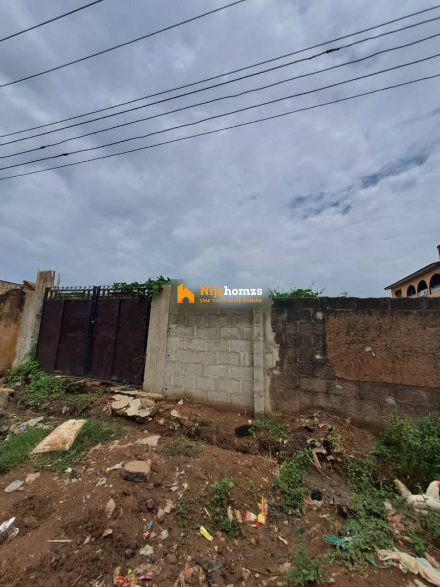 Property view 1