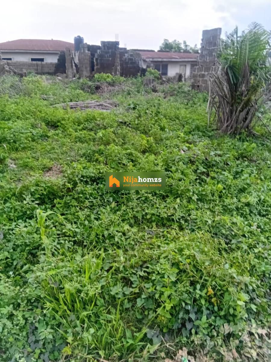 Property view 1