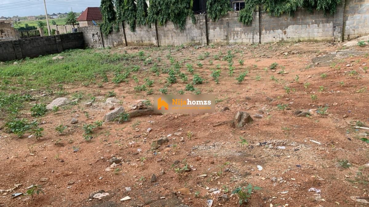Property view 1